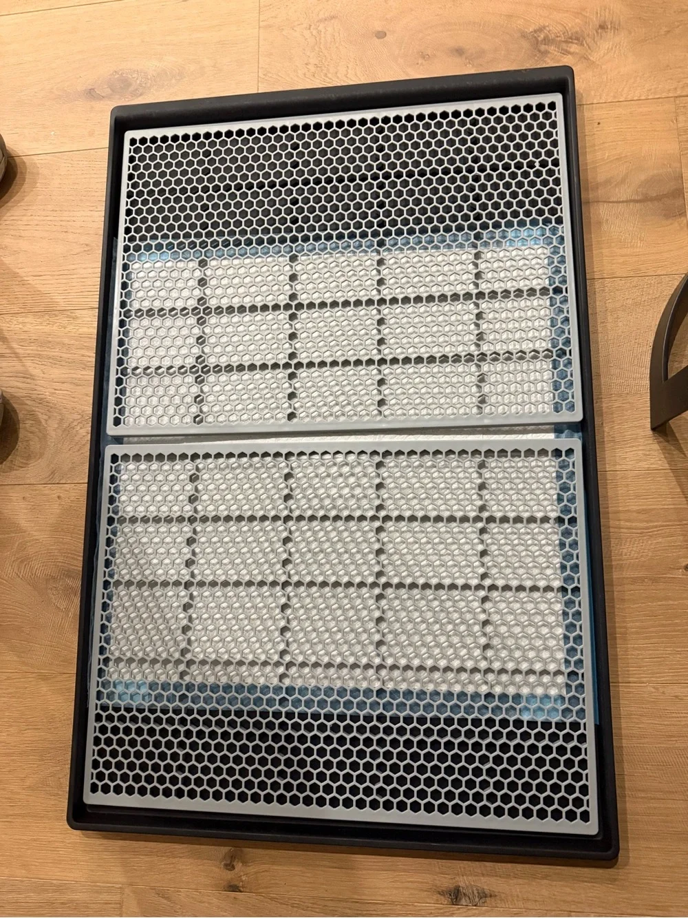 Dog Housebreaking Training Tray with Gray Honeycomb Grids